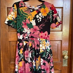 Super fun LLR Amelia